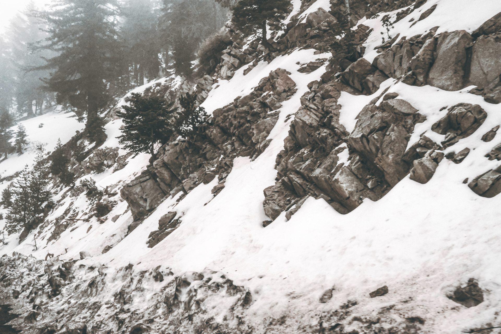 Snow-covered rocky hillside with scattered evergreen trees, creating a wintry landscape. The rocks protrude through the snow, and the background appears foggy or misty.