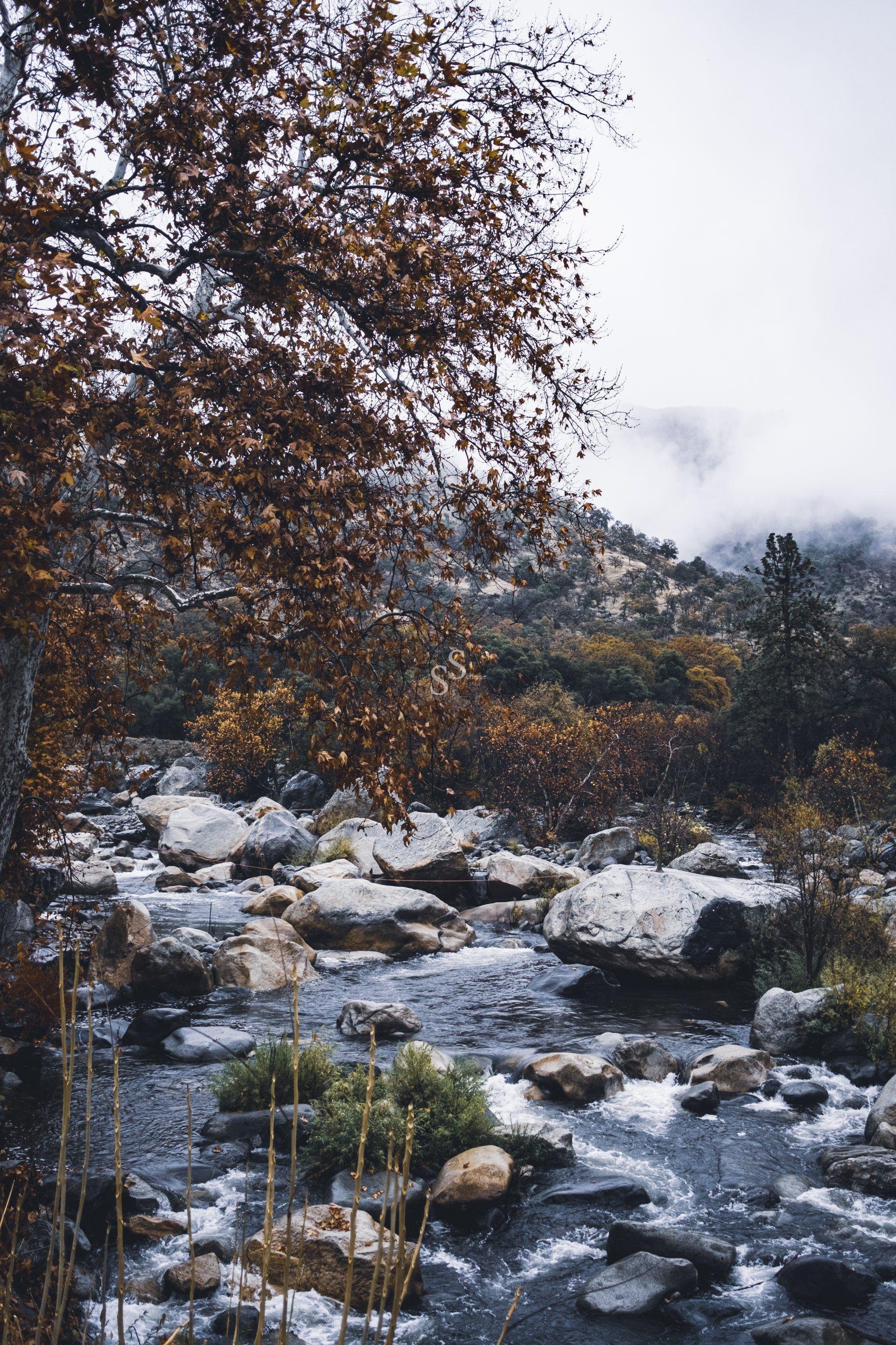 Rocky river flows through a forest with autumn-colored leaves on trees. Mist and clouds cover distant hills, creating a moody and serene natural landscape scene.