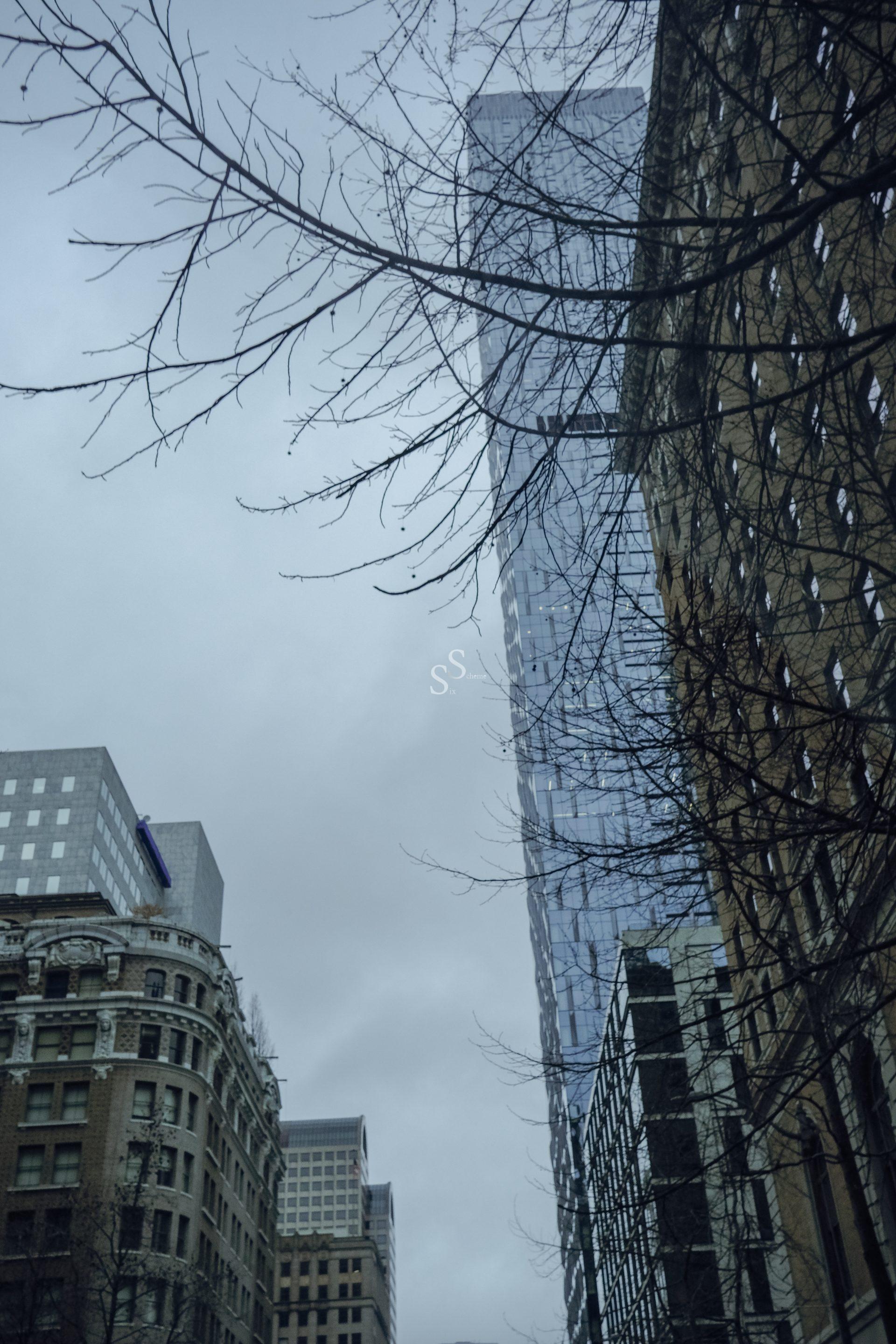 Bare tree branches frame several tall buildings under a cloudy, gray sky in an urban setting. The architecture includes modern glass and older stone facades, creating a contrast between old and new.