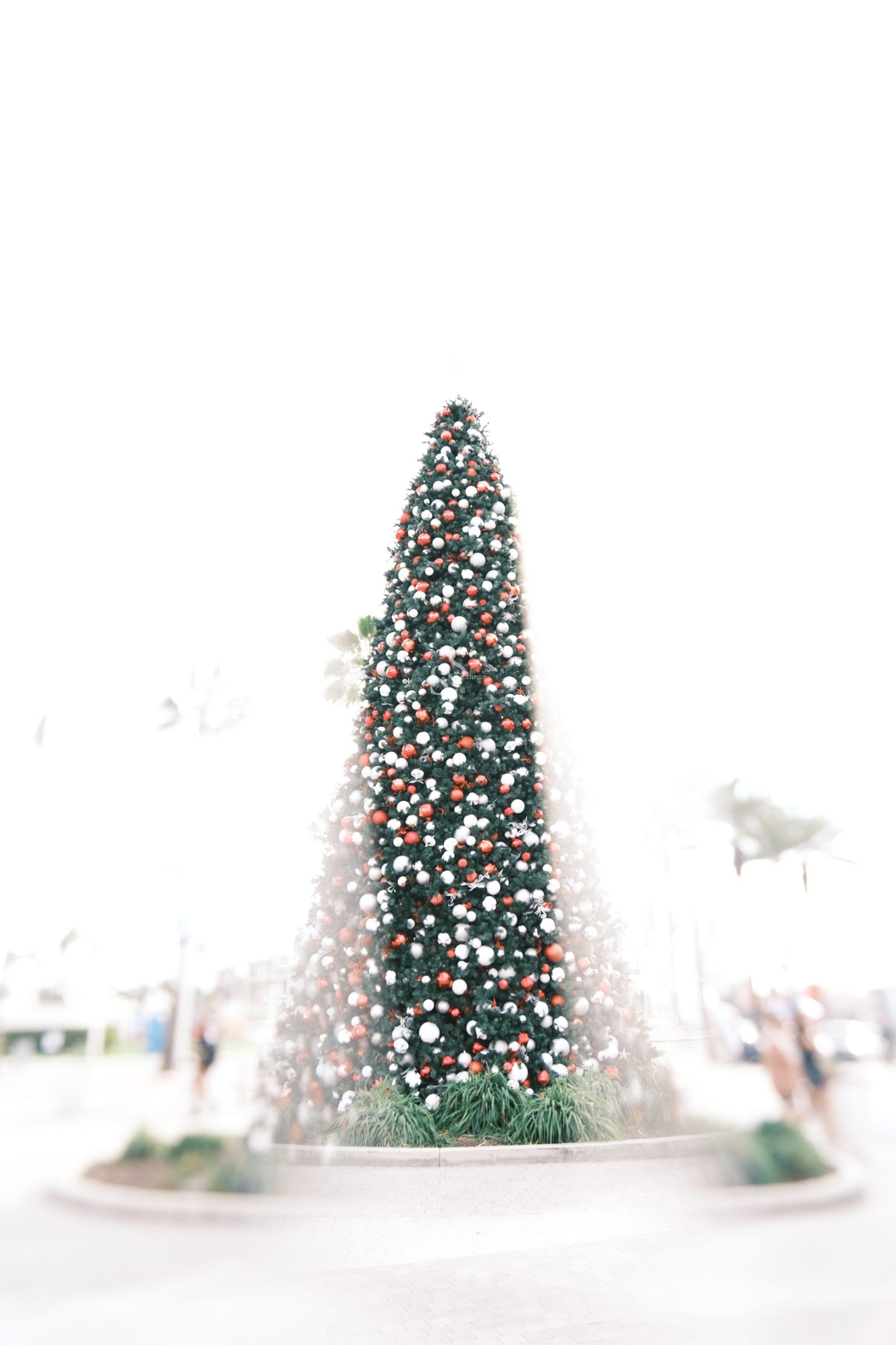A tall, decorated Christmas tree stands outdoors, adorned with red, white, and silver ornaments. The background is bright and overexposed, giving the image a soft, dreamy effect with a few blurred people around the tree.