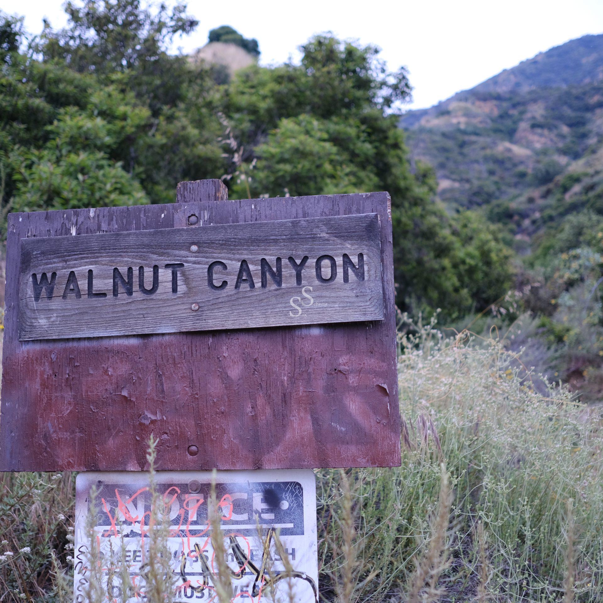 A weathered wooden sign reading WALNUT CANYON stands among tall grass and wild plants, with green trees and rugged hills in the background under a cloudy sky.