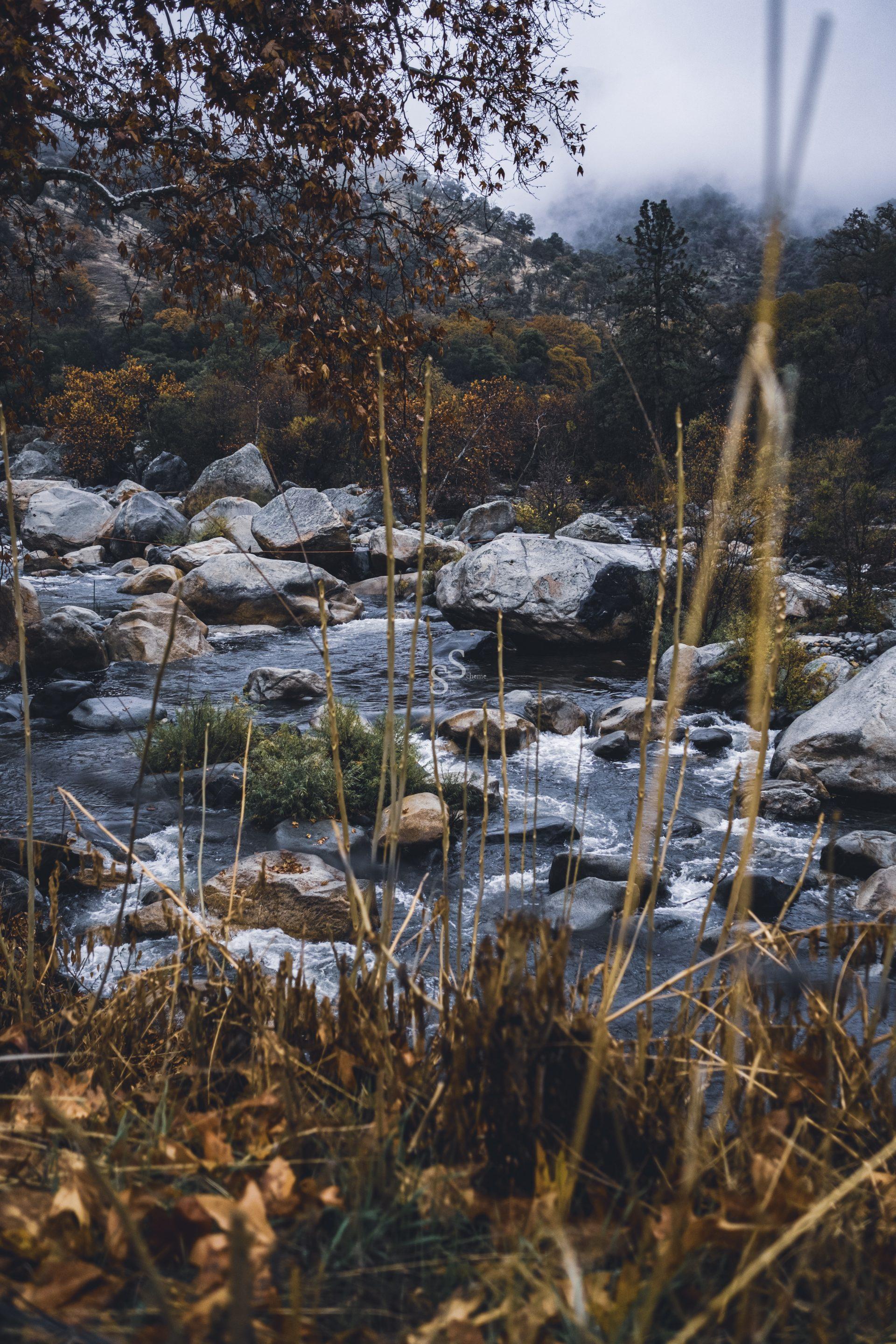 A scenic view of a rocky river flowing through a forest with autumn-colored trees and tall dry grass in the foreground, mountains and mist visible in the background.