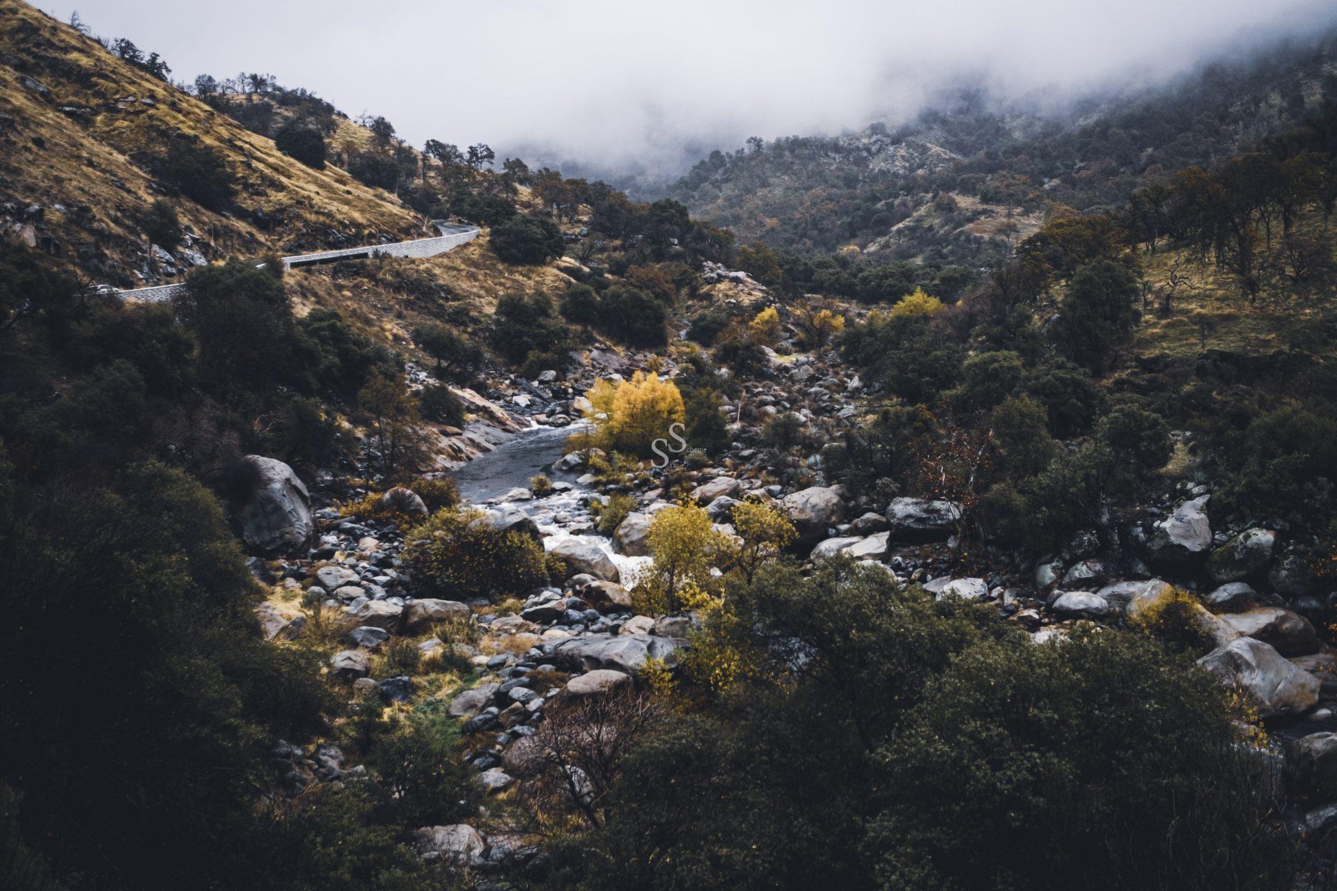 A winding road runs through a misty, mountainous landscape with rocky terrain, a flowing river, dense trees, and patches of yellow foliage under a cloudy sky.