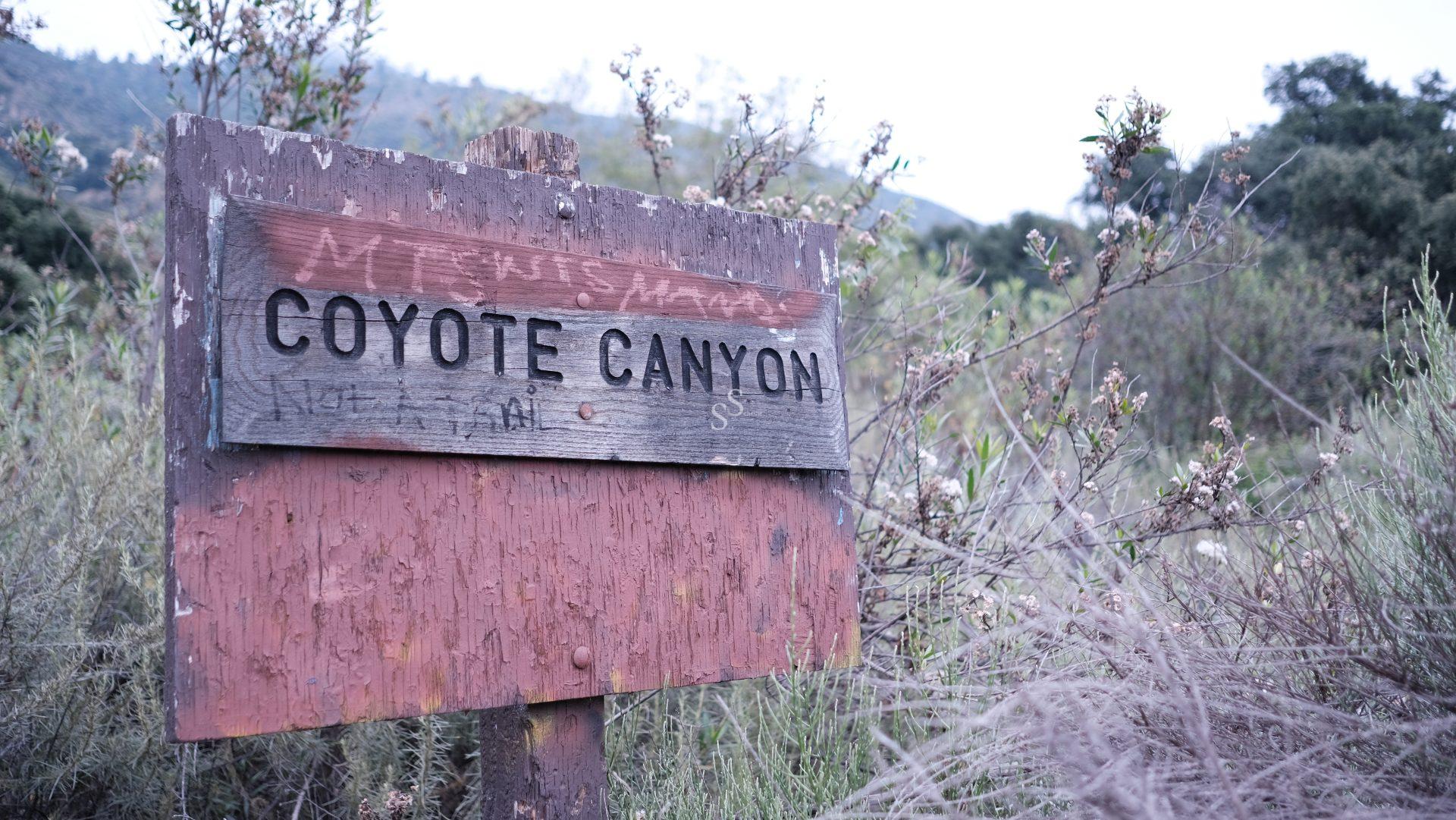 A weathered wooden sign reading Coyote Canyon stands amidst tall grasses and shrubs, with hills and scattered vegetation visible in the blurred background.