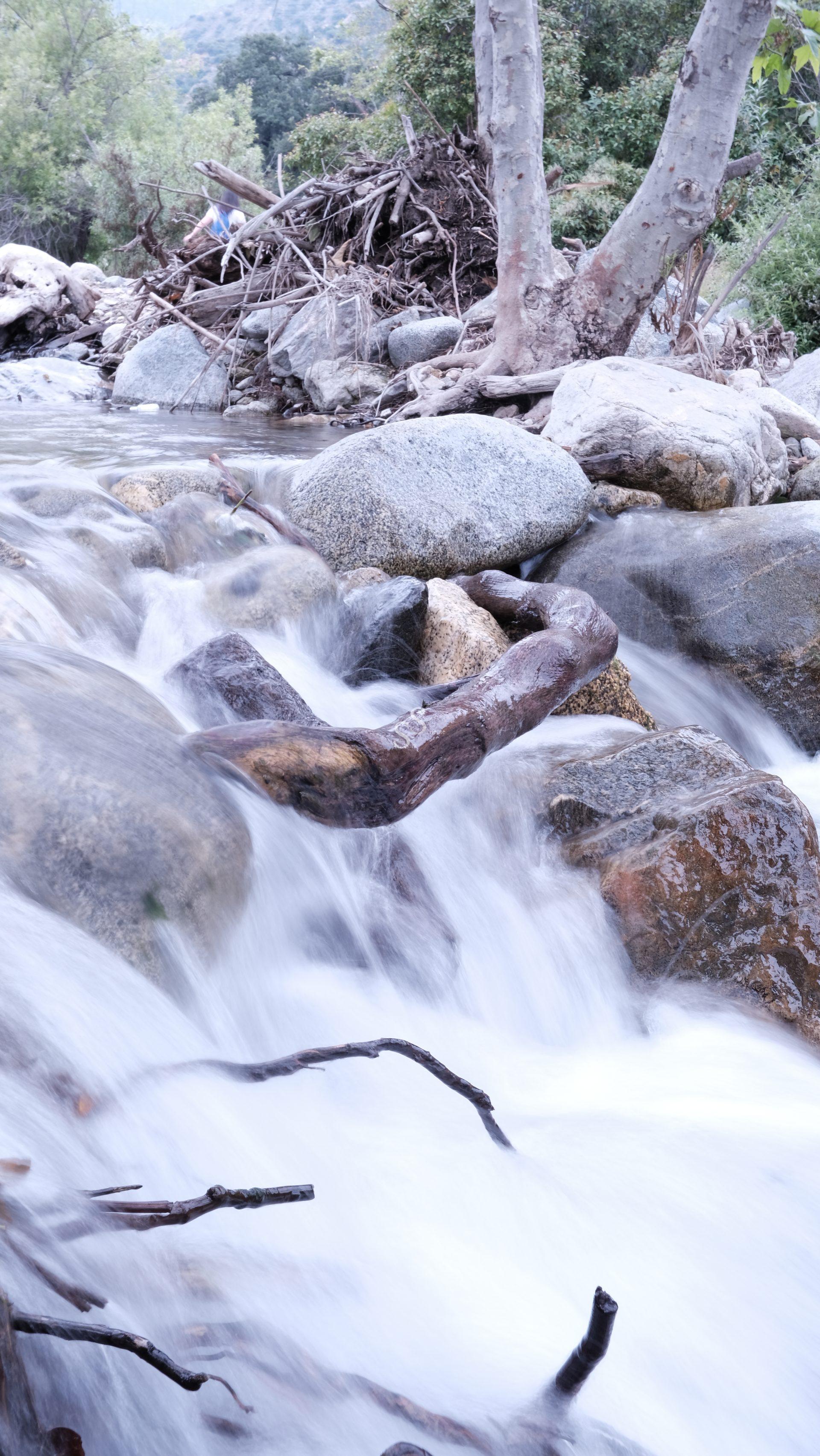 A flowing creek rushes over rocks and fallen branches, surrounded by green trees. In the background, tangled driftwood and large boulders are visible along the creek’s edge.