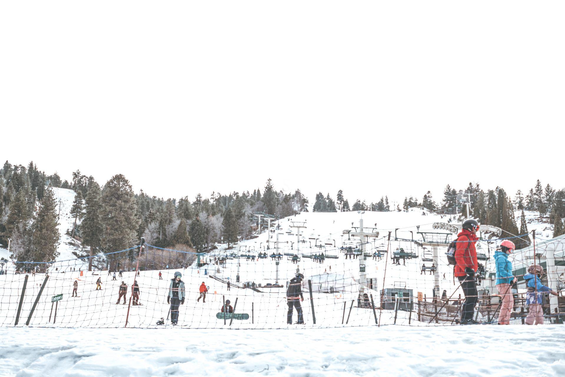 People dressed in winter gear stand and ski on a snowy slope at a ski resort, with trees in the background and ski lifts visible in the distance. A netted fence runs across the foreground.
