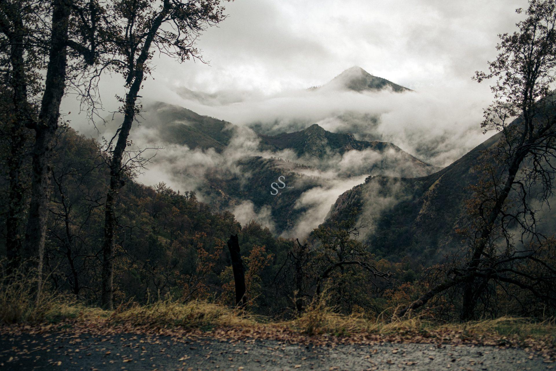 Fog drifts through wooded, rolling mountains under a cloudy sky. Bare trees frame the foreground, and patches of autumn foliage are visible on the hillsides. The atmosphere is moody and serene.
