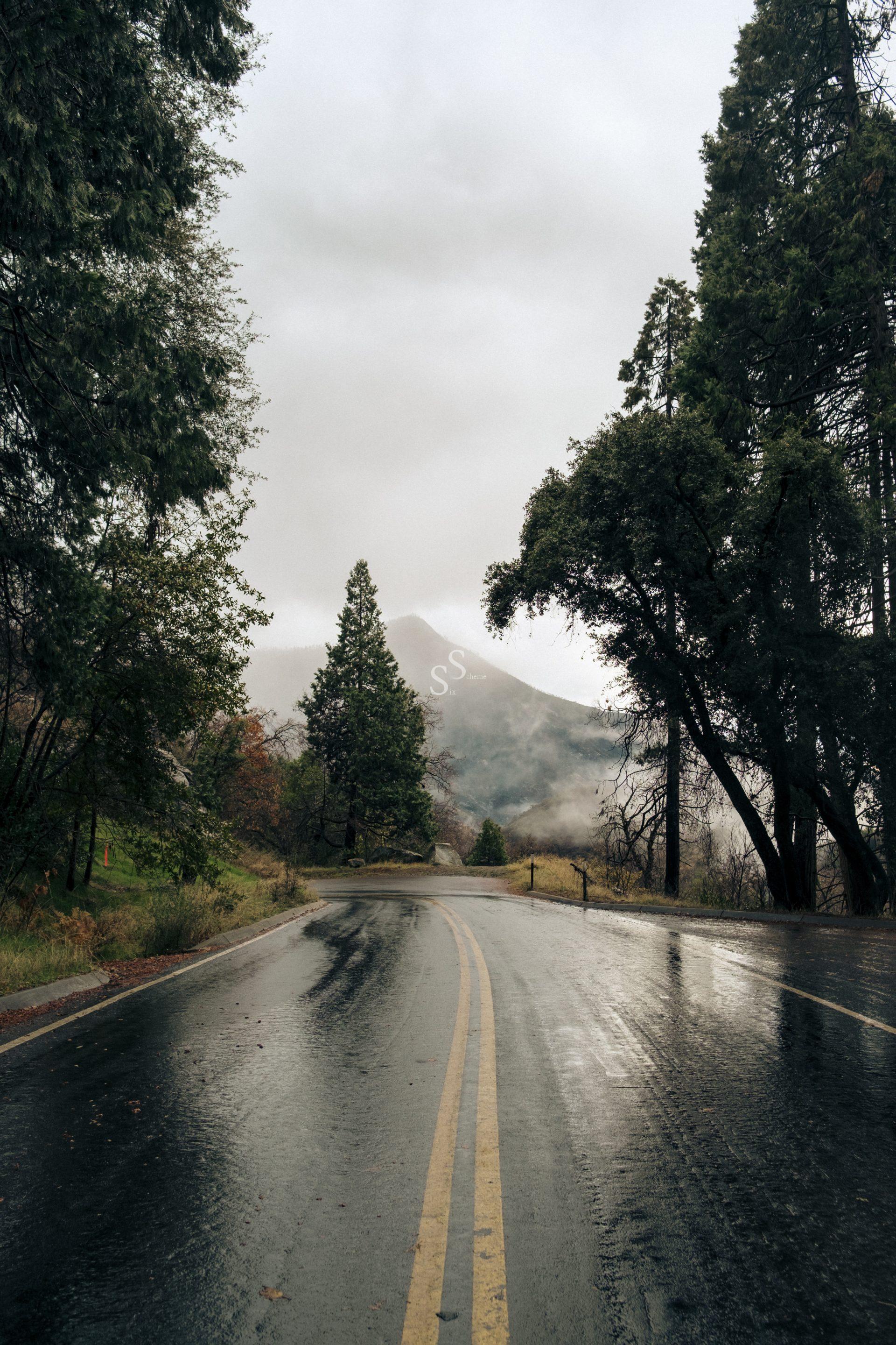 A wet, winding road curves through a forest with tall trees on both sides. Mist and low clouds partially obscure a mountain peak in the background under an overcast sky.