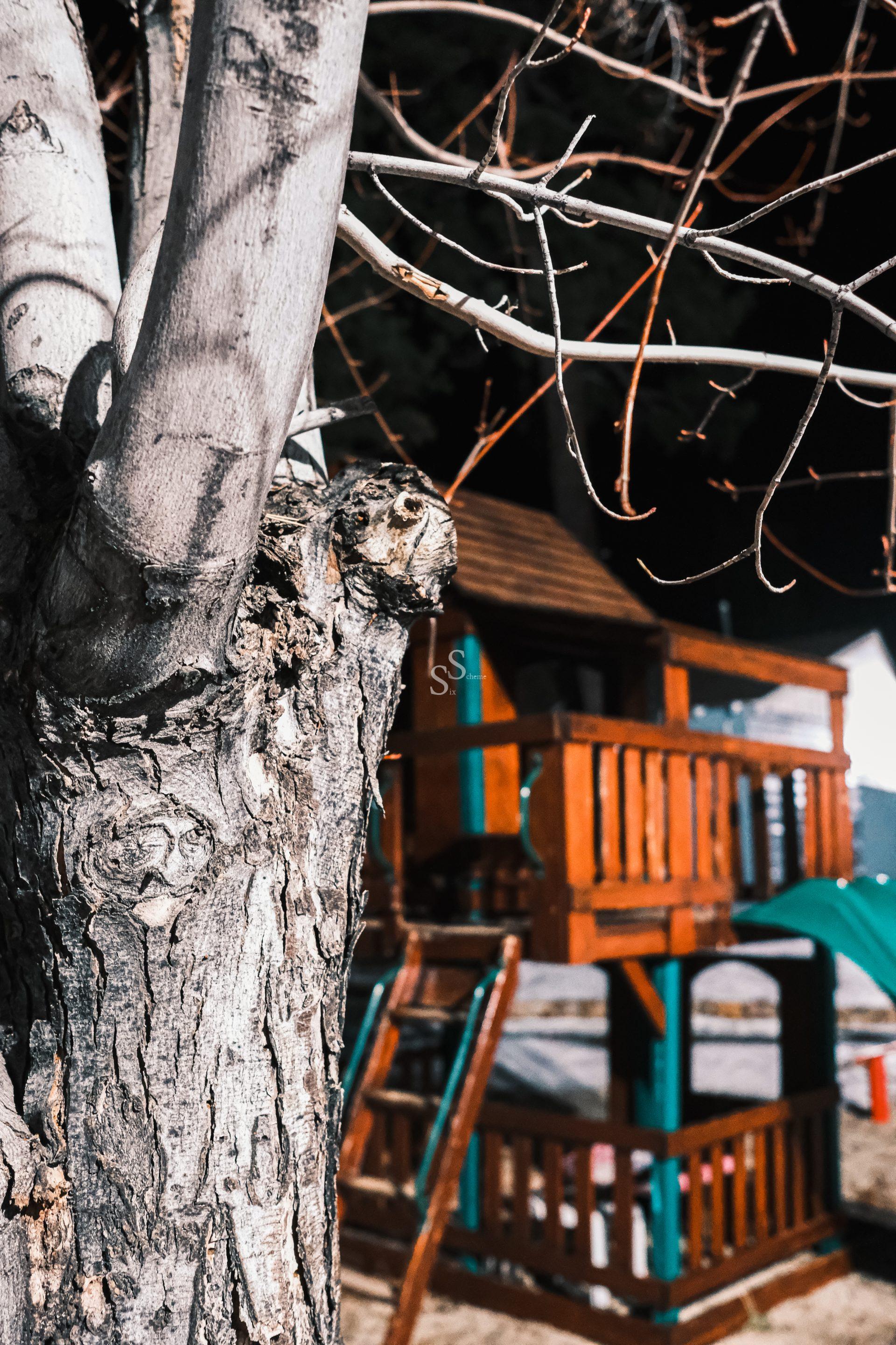 Close-up of a tree trunk with bare branches in the foreground, and a wooden playhouse with a slide and ladder slightly out of focus in the background, illuminated by nighttime lighting.