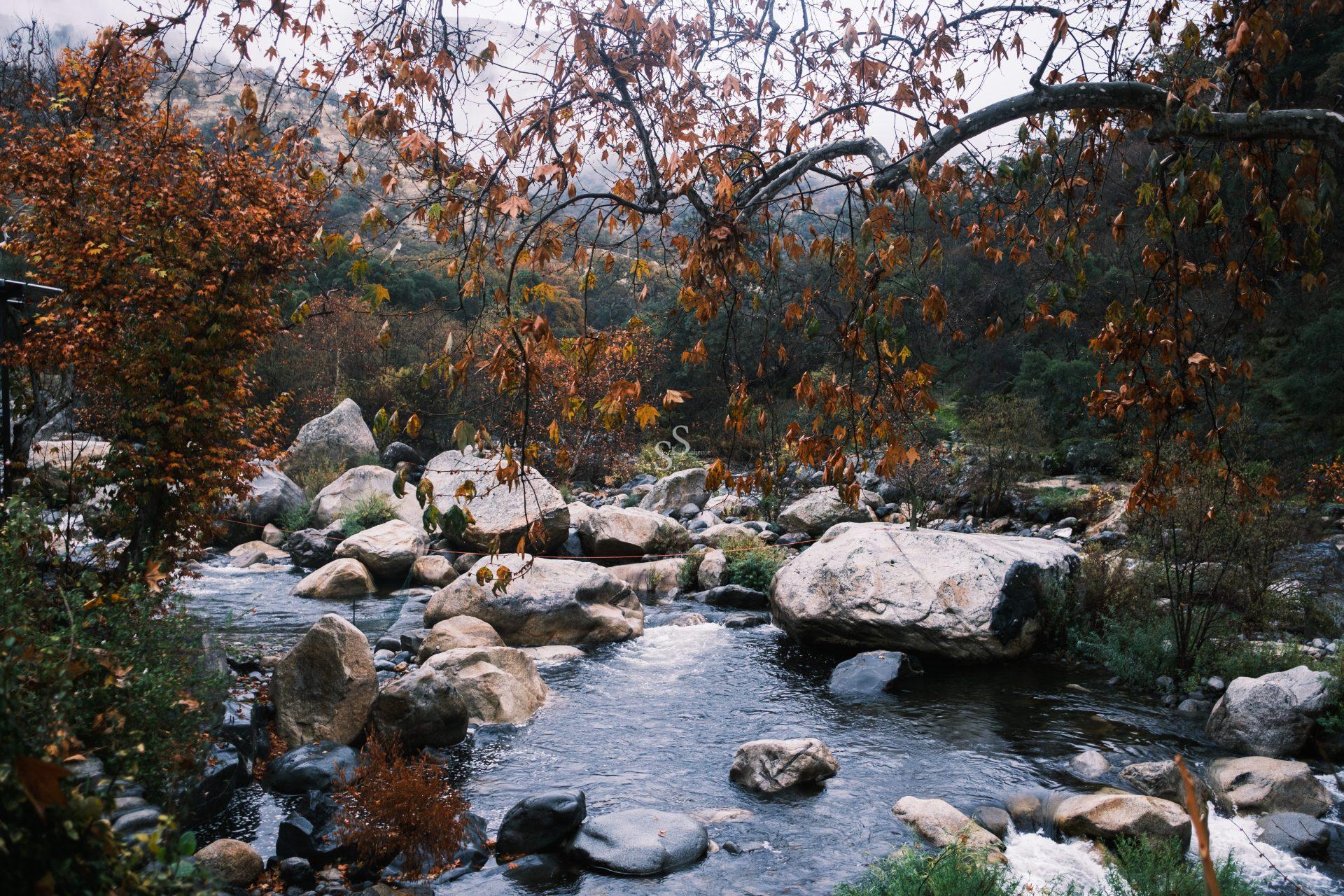 A rocky creek flows through a forest with autumn foliage, featuring large boulders in the water and on the banks. Overhanging tree branches with orange leaves add color to the peaceful, natural scene.