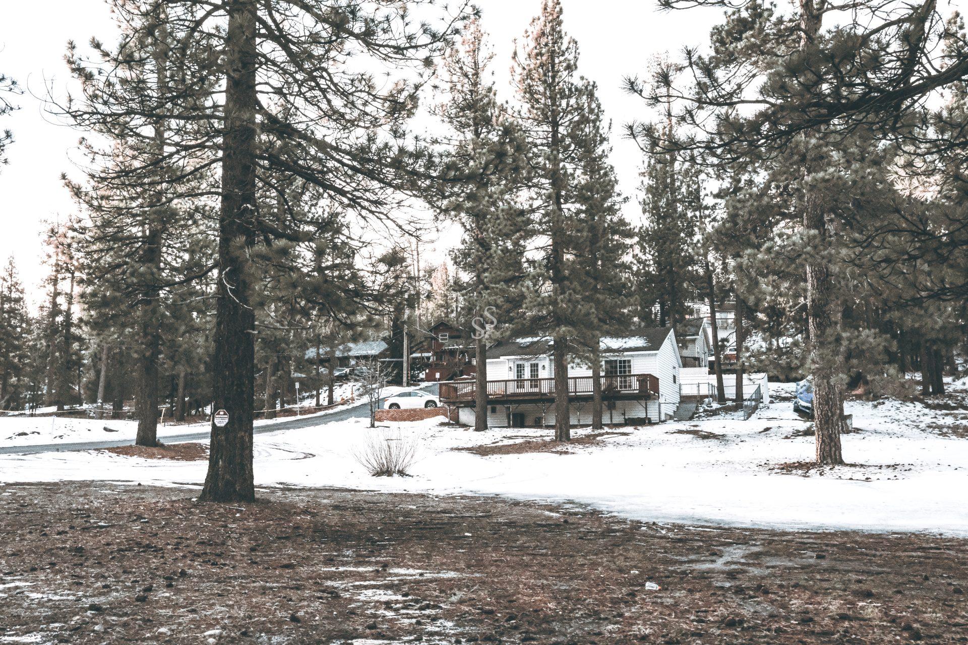 A small white house sits among tall pine trees with patches of snow on the ground. The scene looks cold and wintry, with a dirt and snow-covered yard and cars parked near the house.