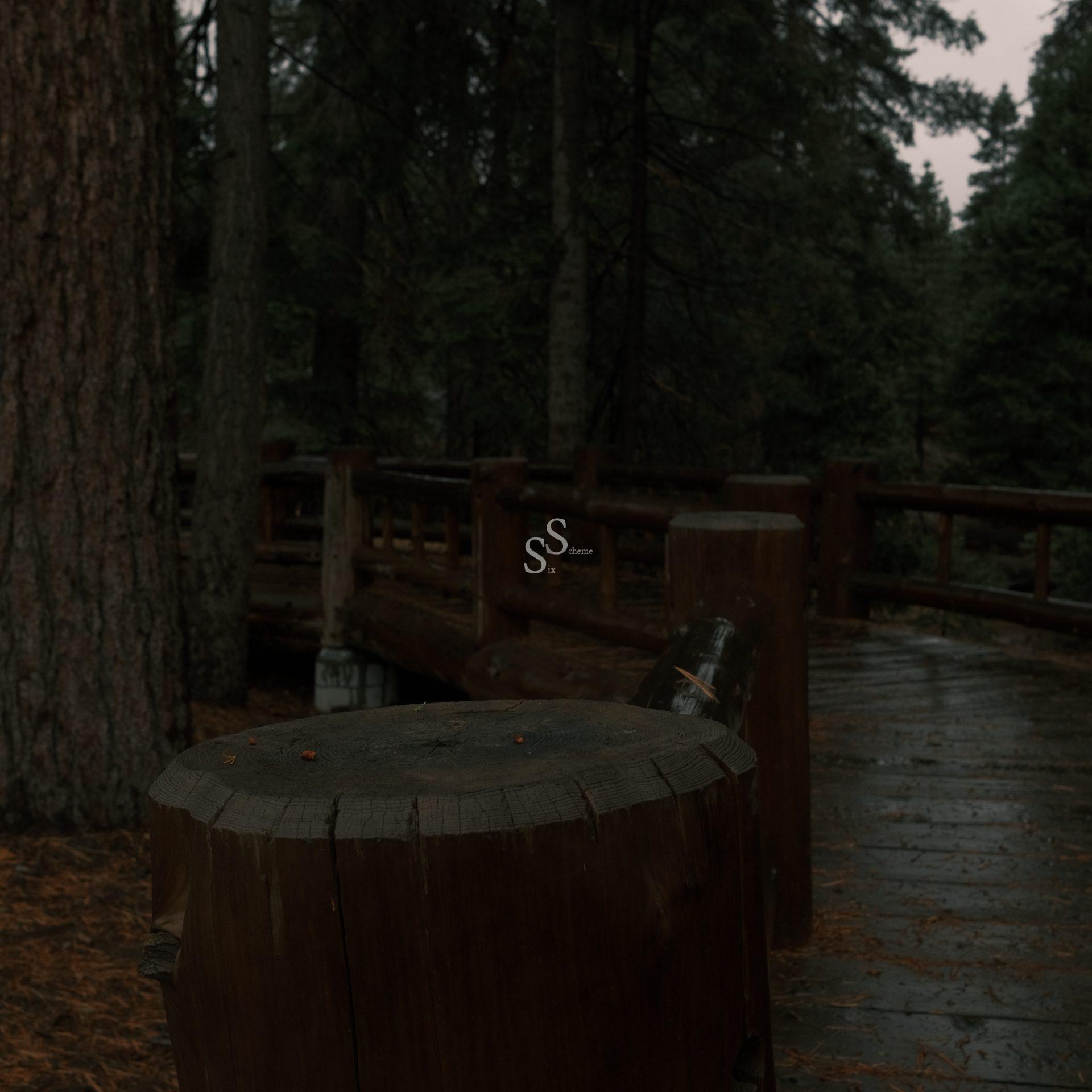 A wooden fence lines a rain-soaked path in a dense, dark forest. Tree trunks and lush green foliage surround the damp walkway, creating a moody, tranquil atmosphere.
