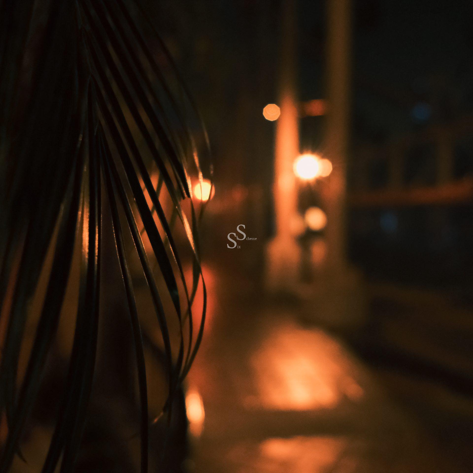 Close-up of palm leaves in soft focus at night, with warm, blurry streetlights illuminating a pathway in the background, creating a moody and atmospheric scene.