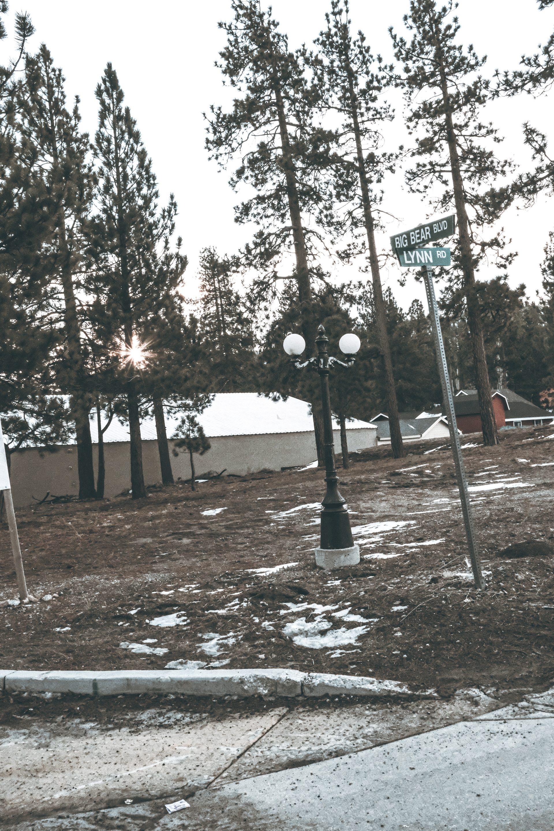 A streetlamp stands beside a street sign for Big Bear Blvd and Lynn Rd, with pine trees and patches of snow in the background. The sun is peeking through the trees.