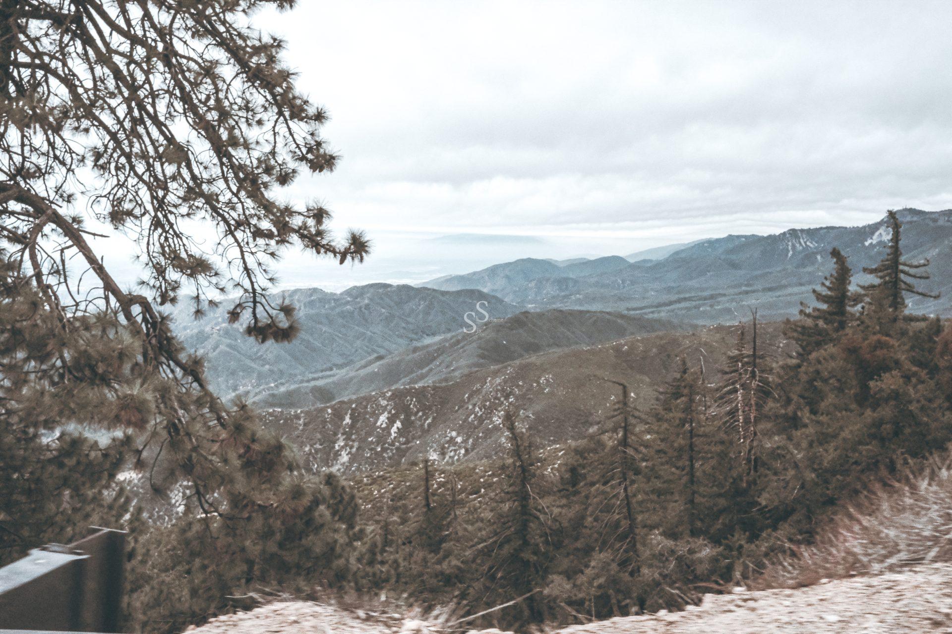 A scenic view of a mountain range with rolling hills, evergreen trees in the foreground, and a cloudy sky overhead. Branches of a pine tree partially frame the upper left corner of the image.