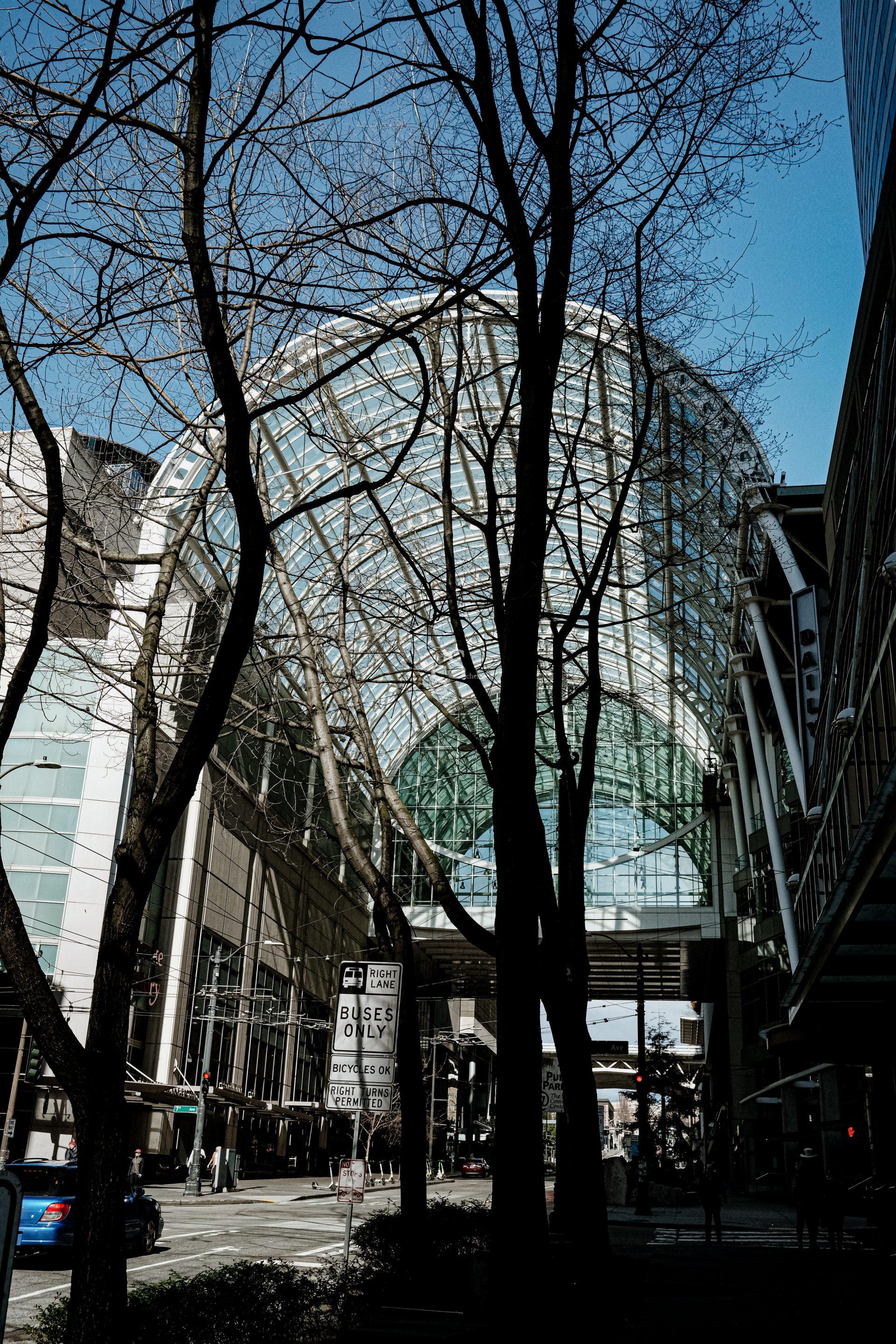 A city street scene with tall, leafless trees in the foreground and a modern glass atrium arching over the road between buildings under a clear blue sky. Pedestrians and cars are visible below.