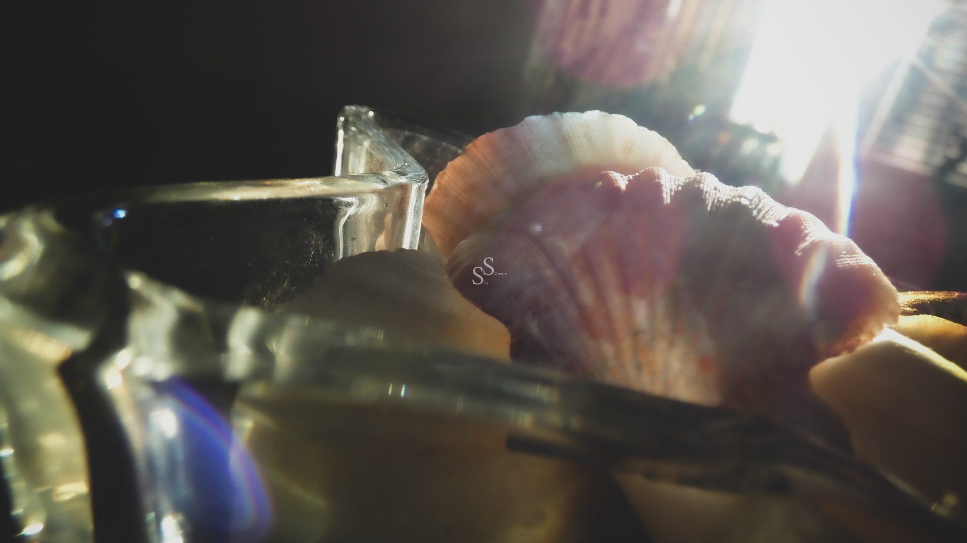 A close-up of colorful seashells in a glass container, with sunlight streaming in from the background, creating bright reflections and lens flare.