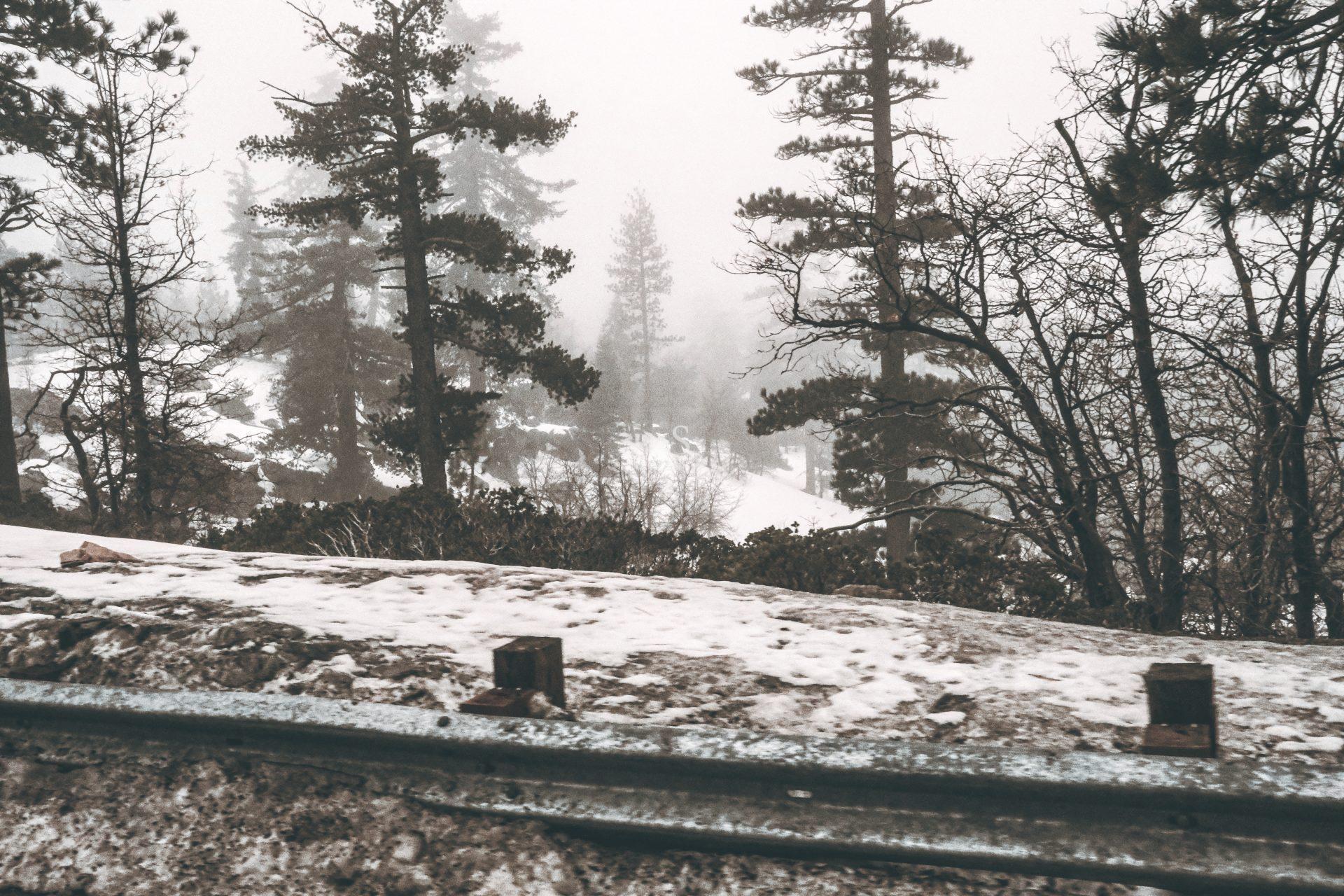 Snow-covered ground and rails in the foreground with tall pine trees and leafless branches in a foggy, wintry forest scene. The mist blurs the background, creating a cold, tranquil atmosphere.