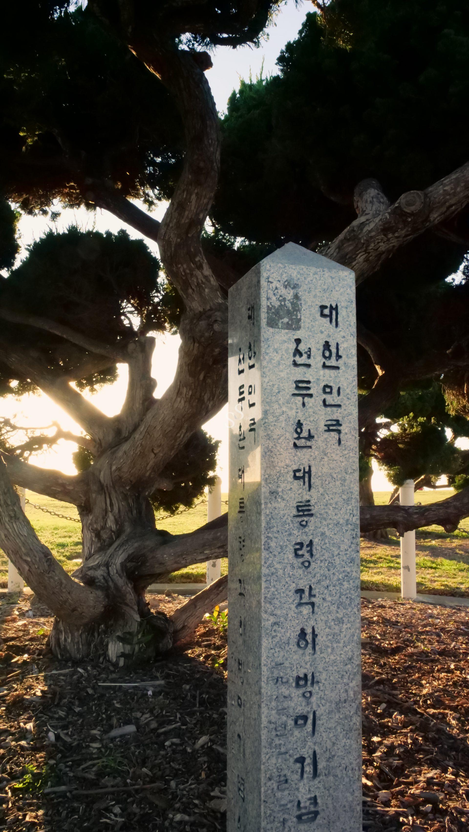 A stone monument engraved with Korean text stands in front of a large, gnarled tree, bathed in warm sunlight. The background features green grass and more trees.