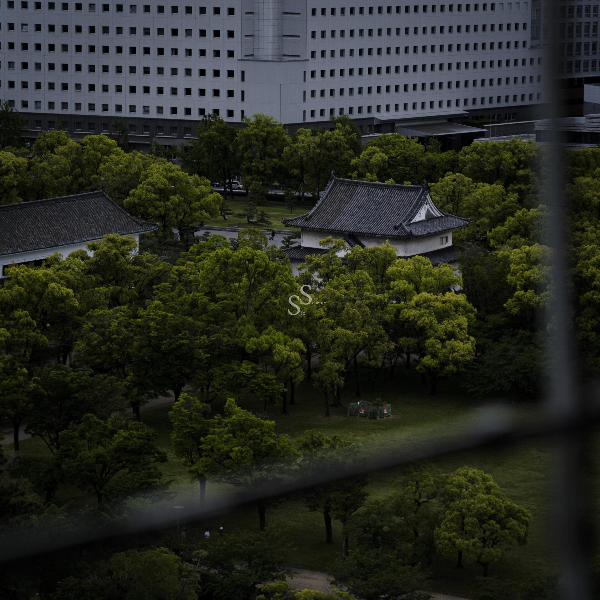 A view through a window showing traditional Japanese buildings surrounded by lush green trees, with a modern high-rise building in the background.